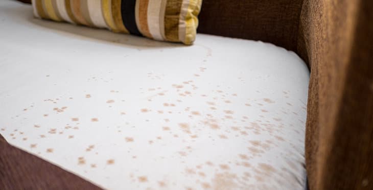 What Causes Odor in Mattresses and How to Prevent It | Judux Hygiene