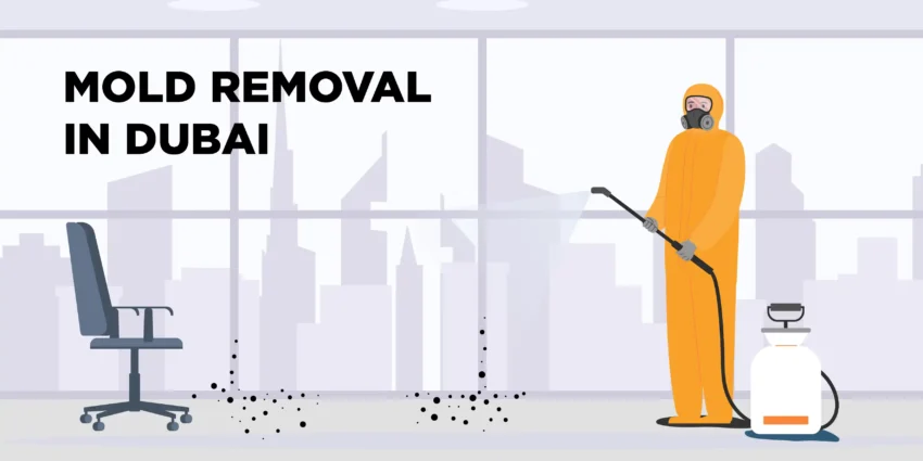 Mold Removal Dubai Judux