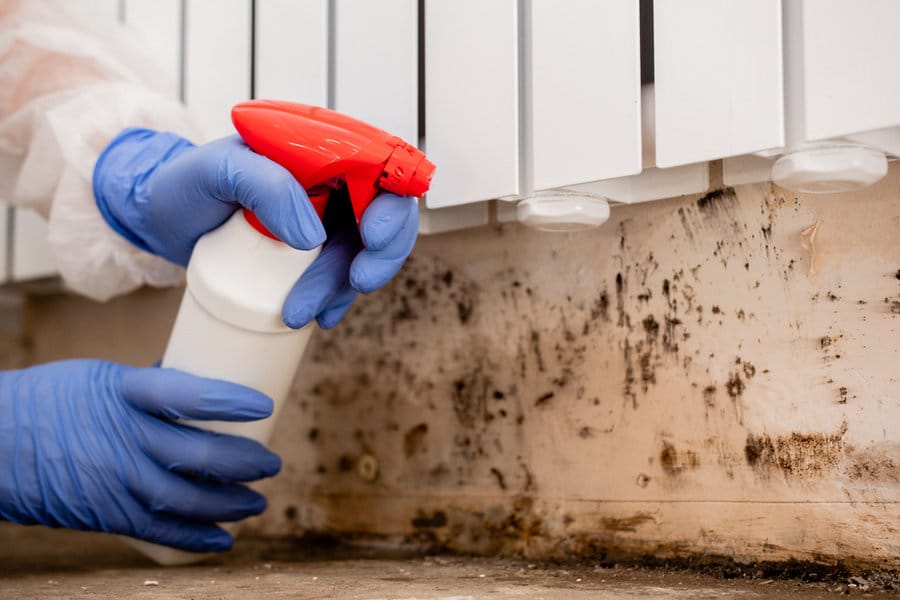 ثلاث علامات واضحة على وجود العفن في أي بيئة