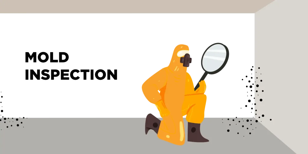 Mold Inspection Judux