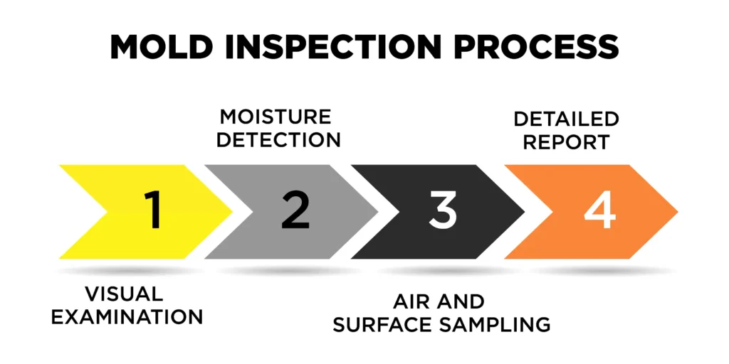Steps of Mould Examination
