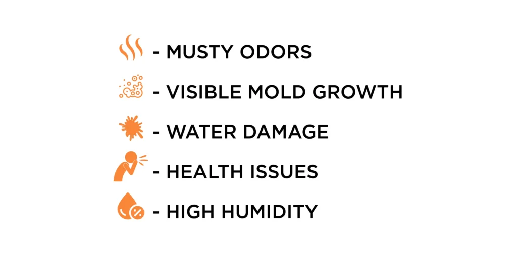 Why You Need Mold Inspection Judux