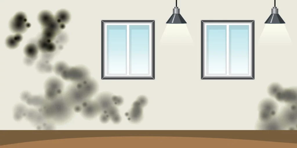 Fungus On Walls Judux