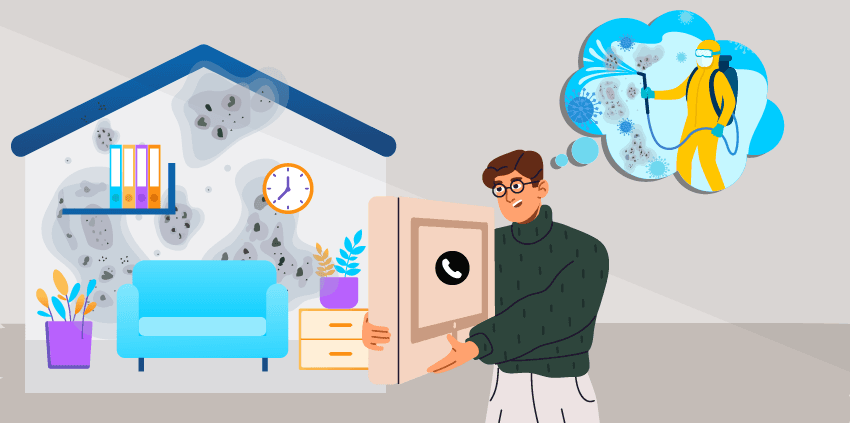 Mold Removal and Remediation Experts UAE