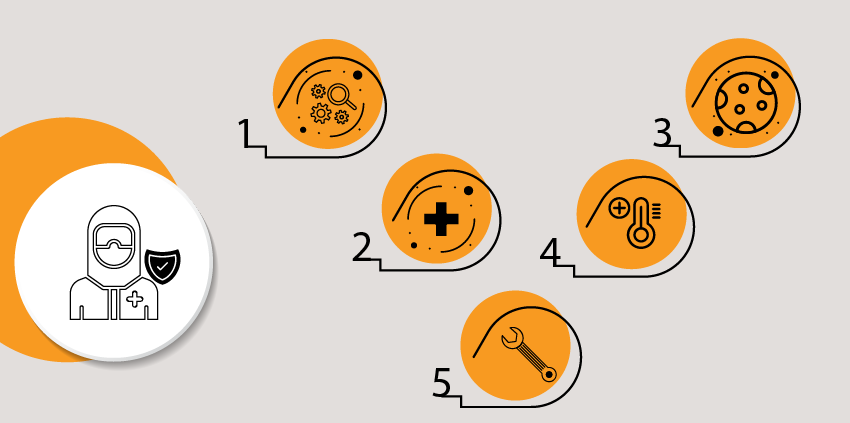 Mold Removal and Remediation Process