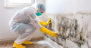 Professional mold cleaning service removing mold from a damaged interior wall in Dubai.