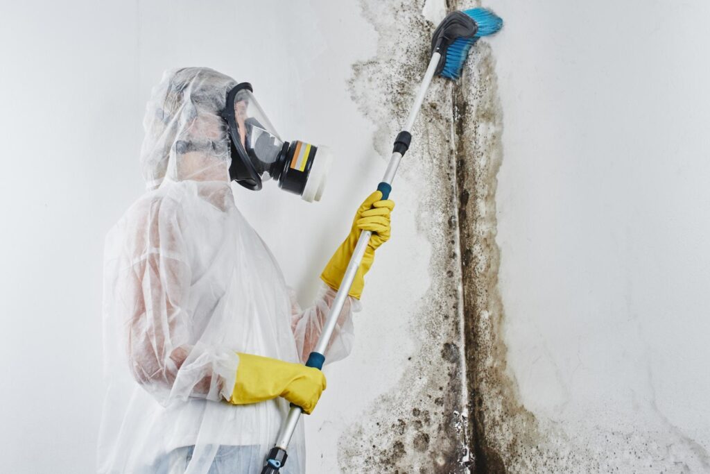 Mold Cleaning Dubai